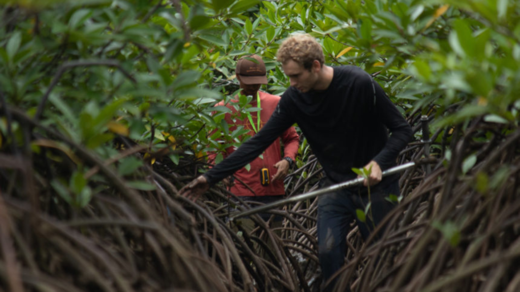 Days in the Field: A first-hand account on environmental volunteering and internship experience