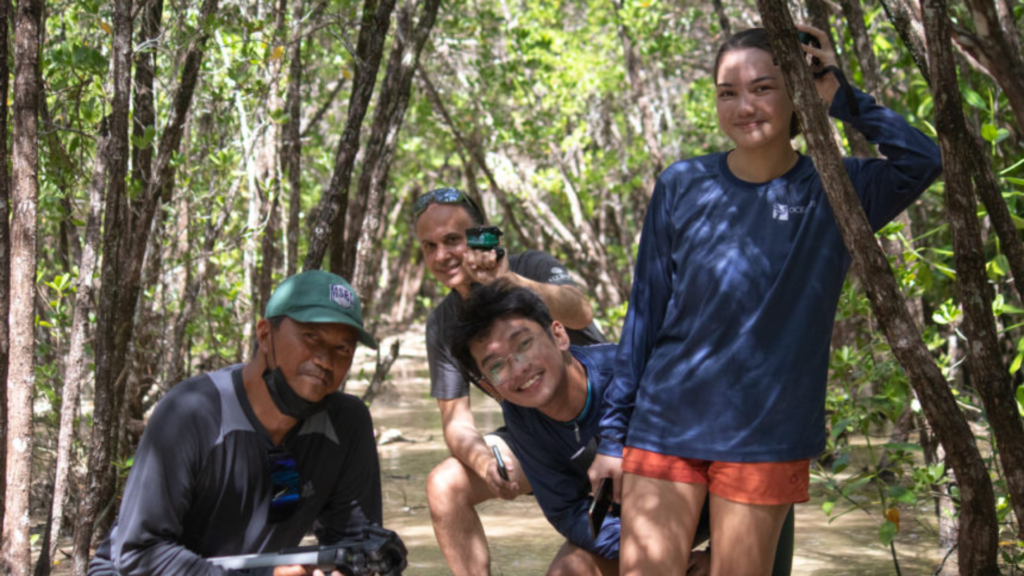 Philippine mangroves conservation through tech: Mangrove.World