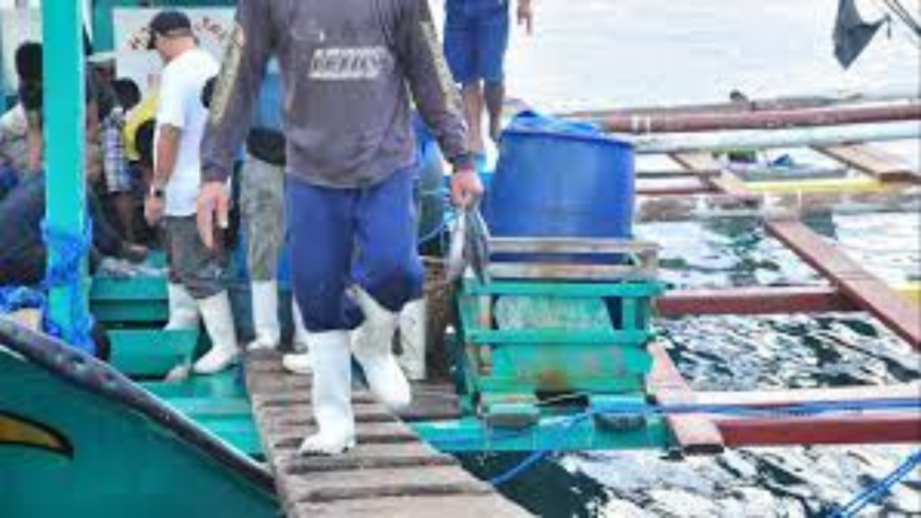 Government, private sector vow to combat illegal fishing in Tañon Strait